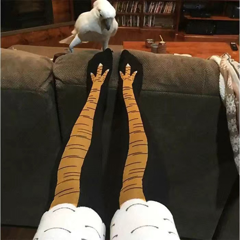 Kaus Kaki Wanita Bentuk Cakar  - Funny Chicken Leg Socks ulasan dan harga