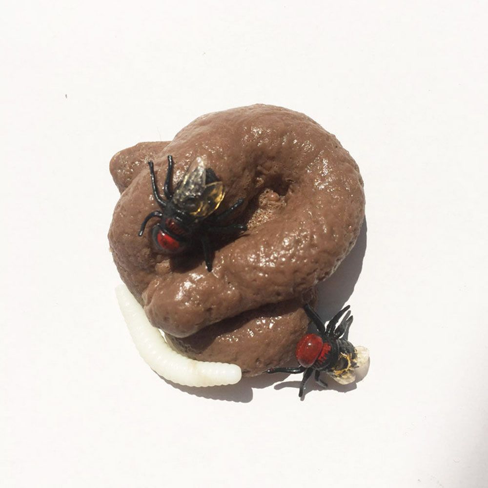 Prank mainan kotoran palsu rea - Fake Poop Gag Gift ulasan dan harga